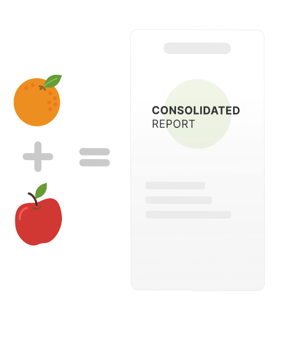 Consolidated Report Illustration